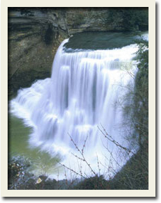 Burgess Falls