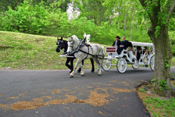 carriage service