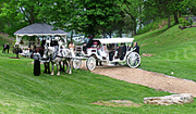 Wedding carriage